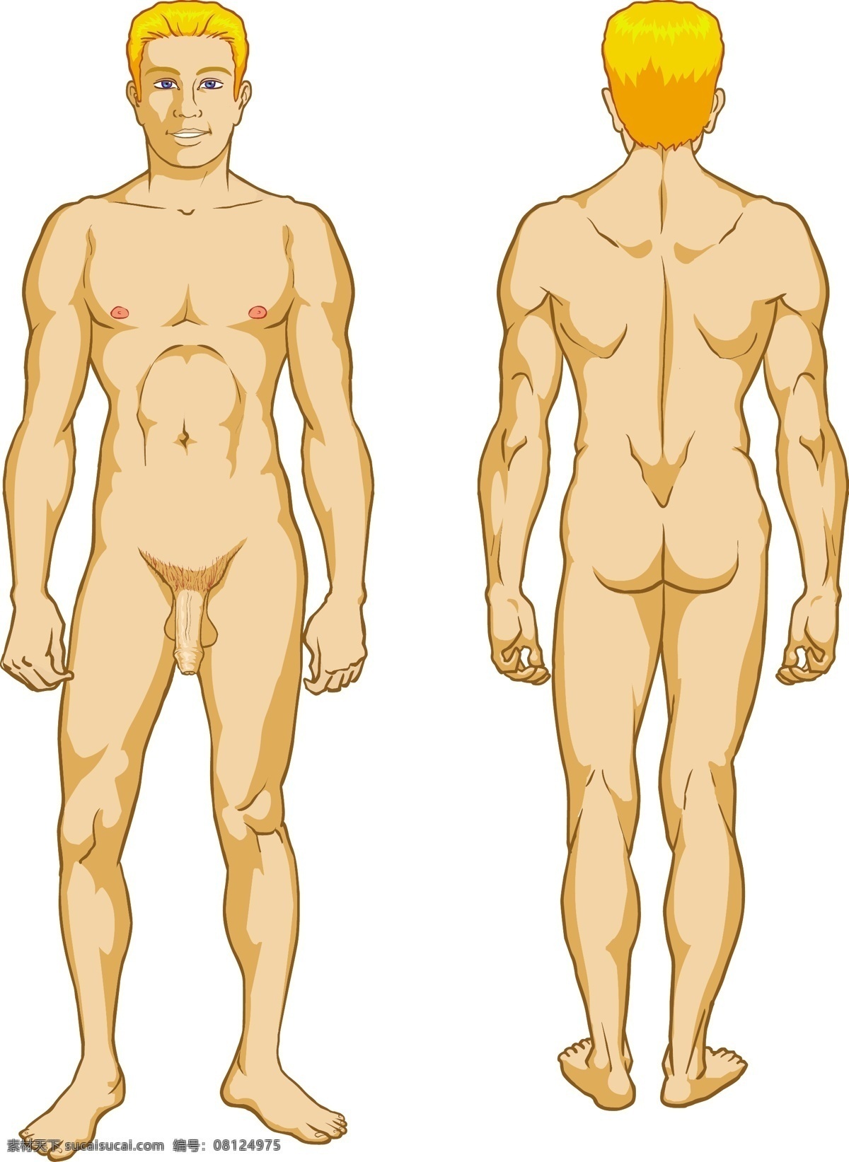 男性 人体 矢量 的人 男厕 m 矢量图 其他矢量图