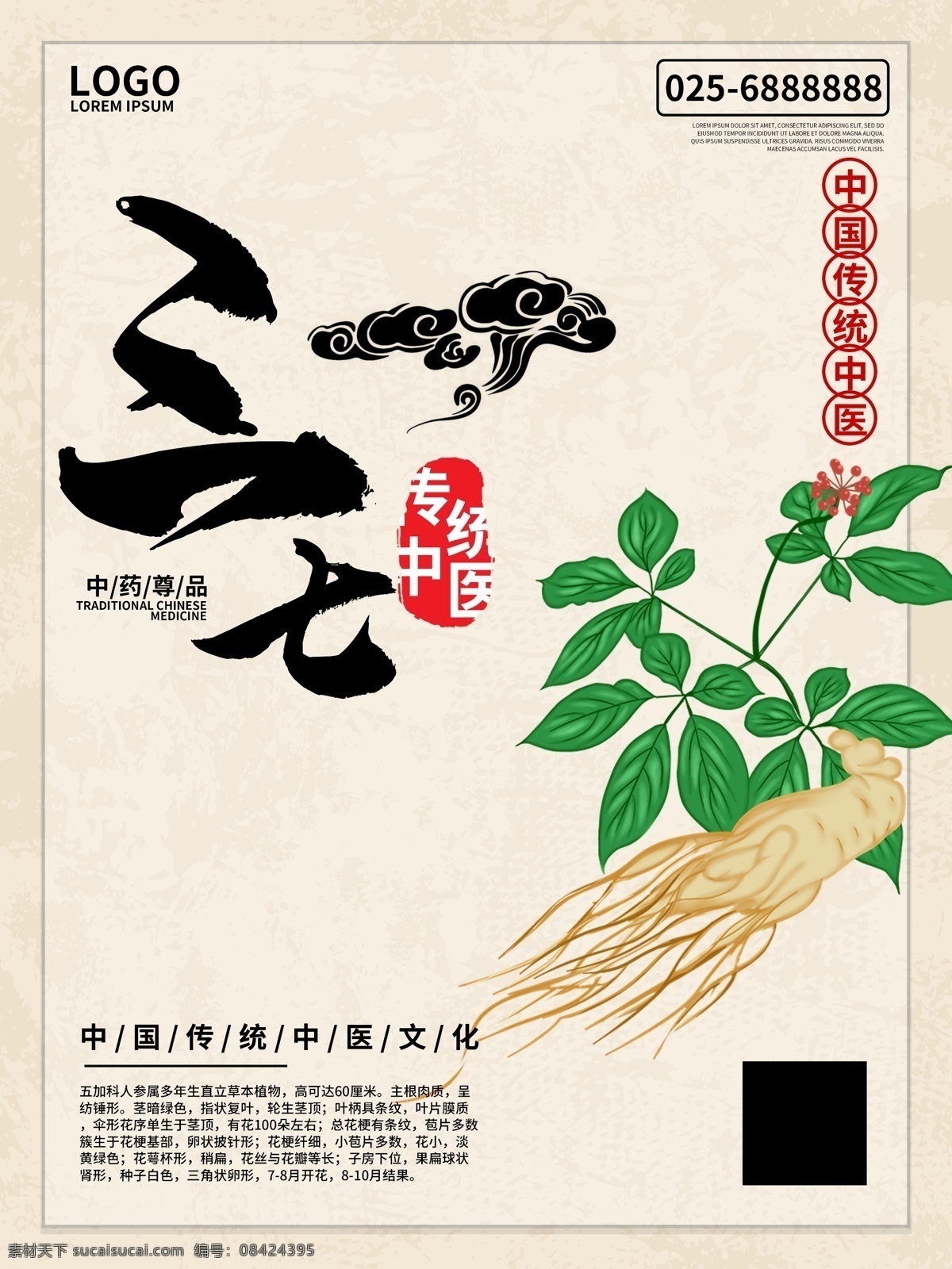 中式 简约 三 七 药材 海报 三七 中药 养生 人参 中医