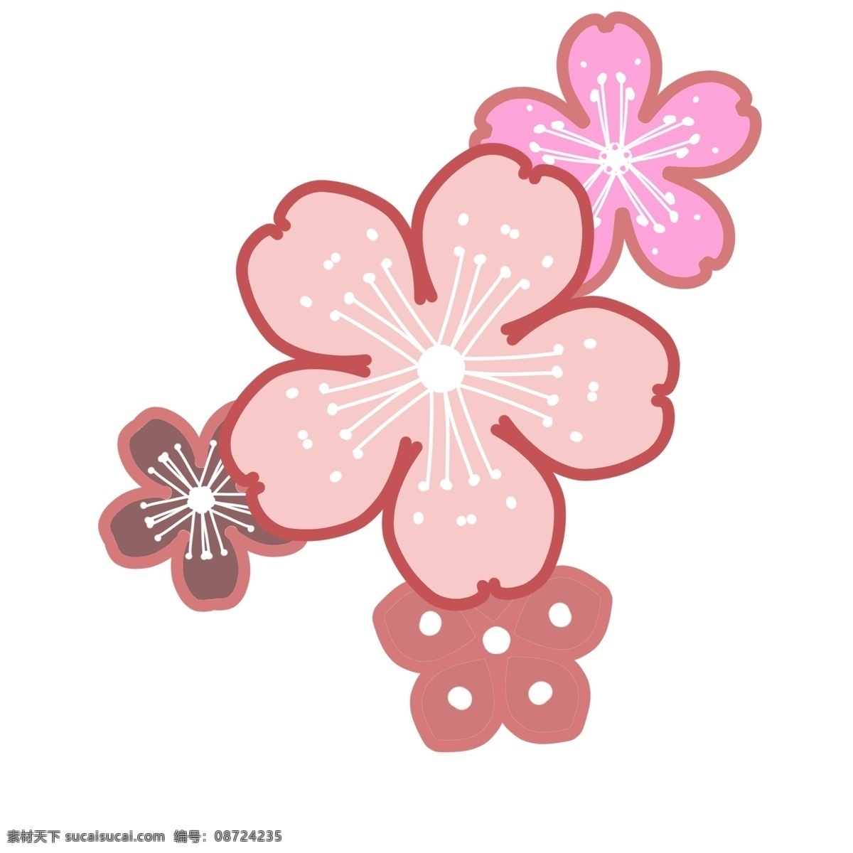 多彩 粉色 樱花瓣 插画 四朵樱花插画 白色花蕊 粉色花瓣 花朵插画 植物 美丽的樱花 多彩粉色樱花