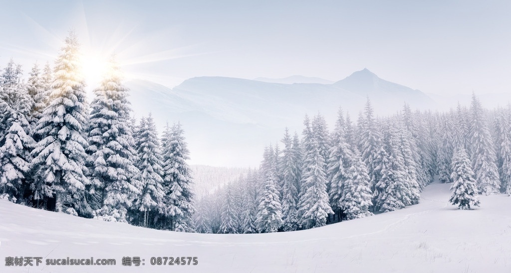 冬天 冬季 冬日 寒冬 冰雪 下雪 雪地 森林 阳光 冬天风景 冬天景色 自然景观 自然风景