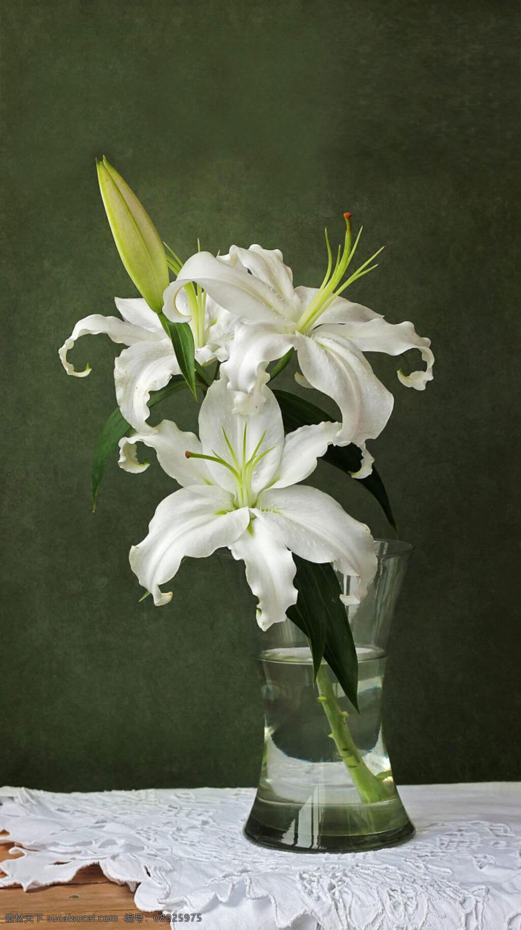 幽香的百合花 洁白的百合花 优雅的百合花 美丽的百合花 草本花卉 清新的百合花 生物世界 花草