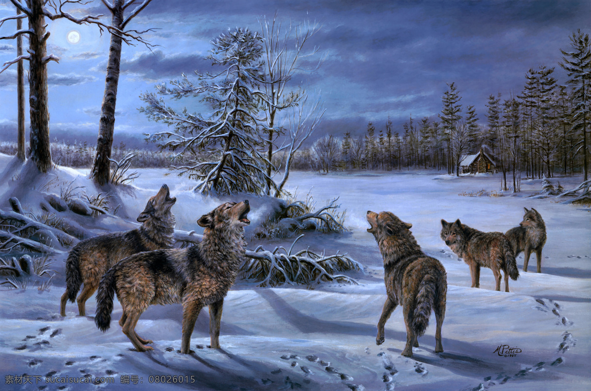 狼群 雪地 木屋 森林 月夜 野性 自然 野生动物 生物世界