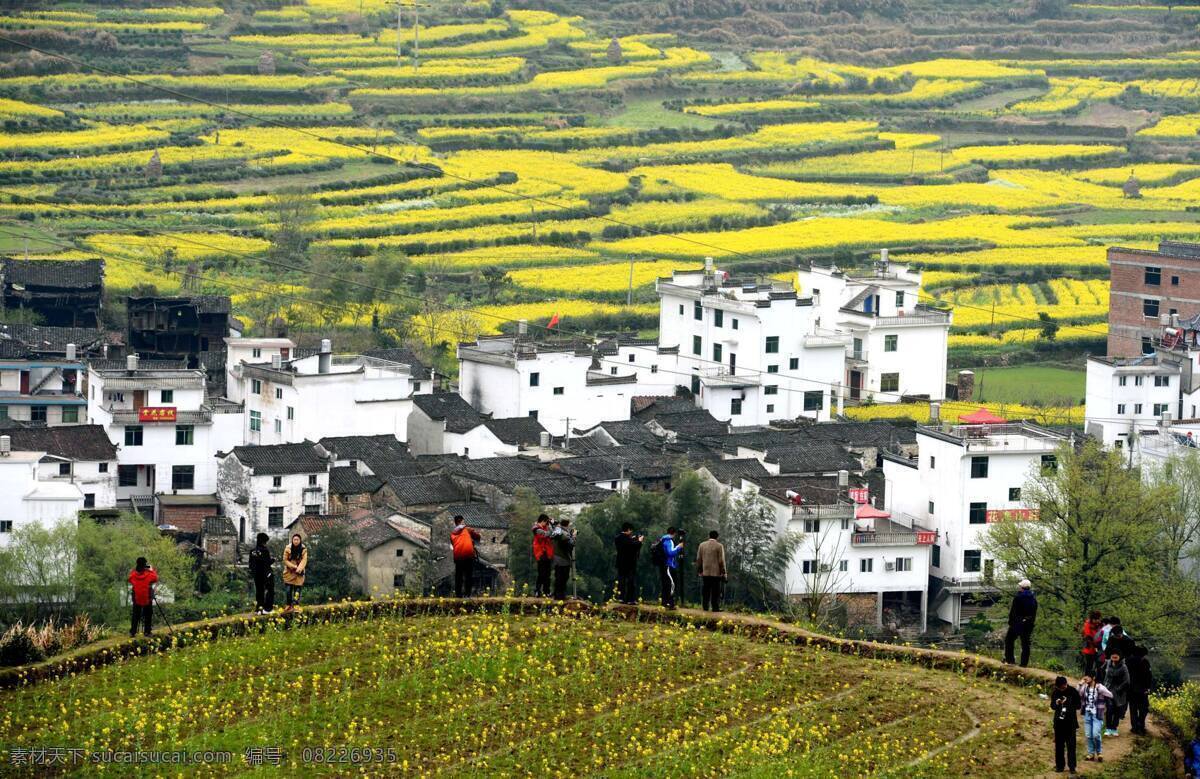 梯田 美景 稻田 风光图片 风景素材 蓝天白云 乡村风光 自然风景 自然景观 农房 民房 农户 风景 生活 旅游餐饮