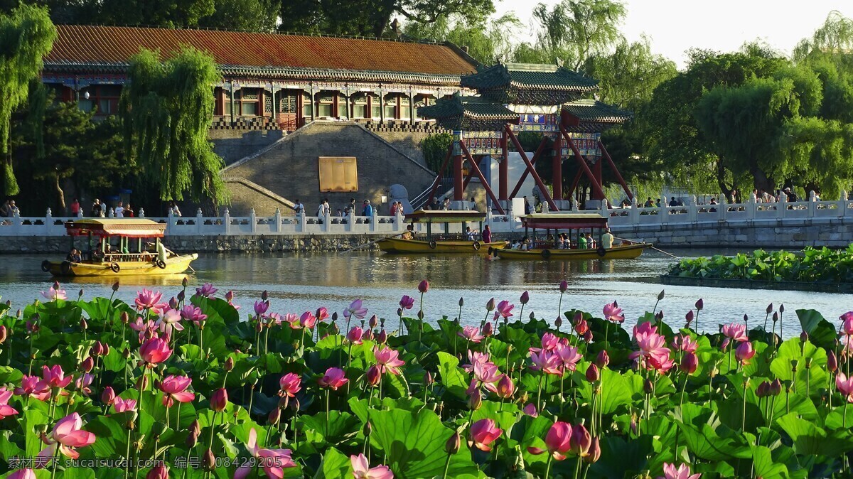 北京北海公园 风景