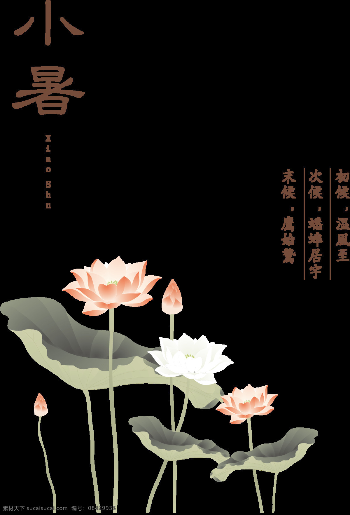 手绘 节气 小暑 元素 水墨画 荷叶 免抠