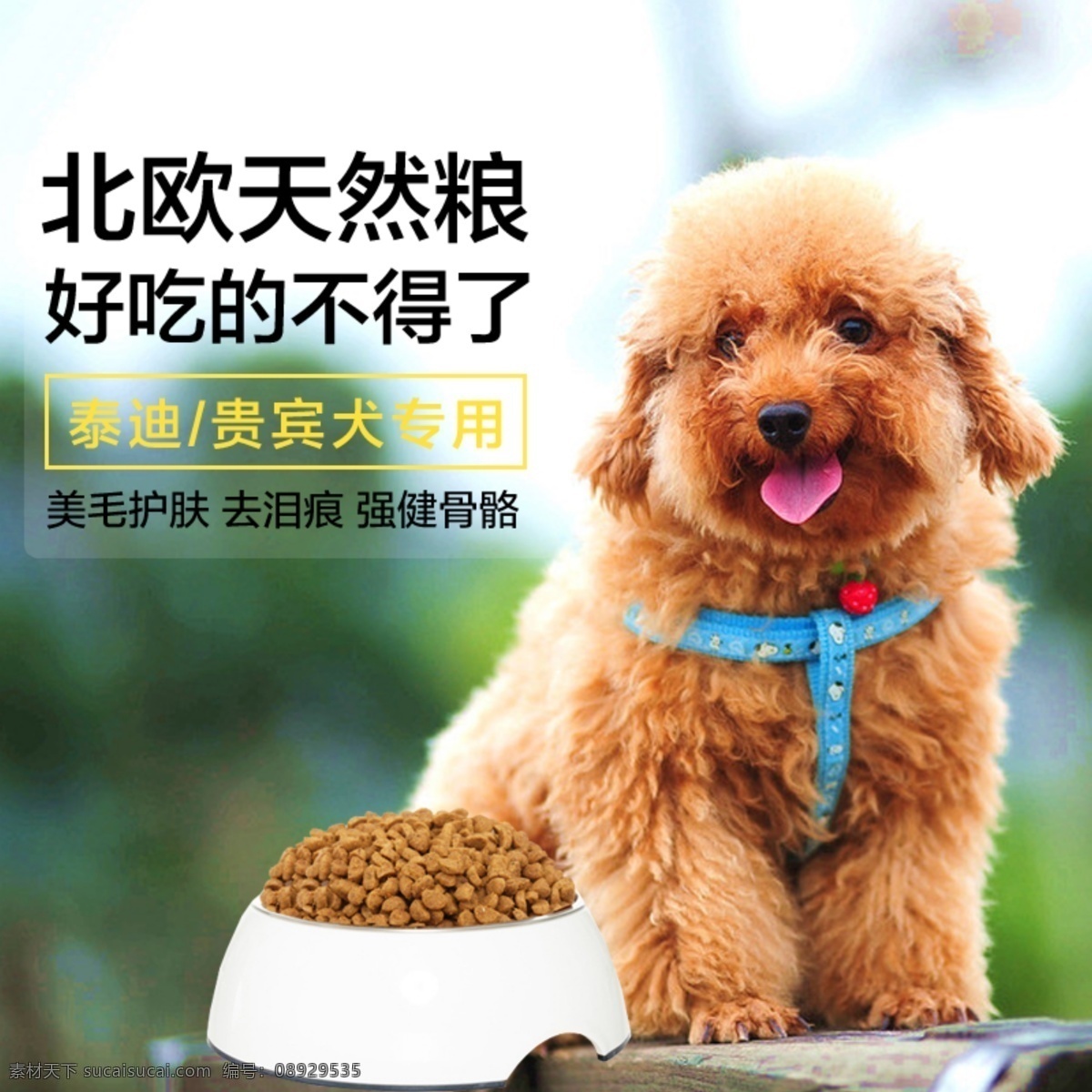 宠物狗 粮 贵宾 泰迪 专用 狗 直通车 宠物 淘宝模板下载 淘宝设计 淘宝素材 原创设计 原创淘宝设计