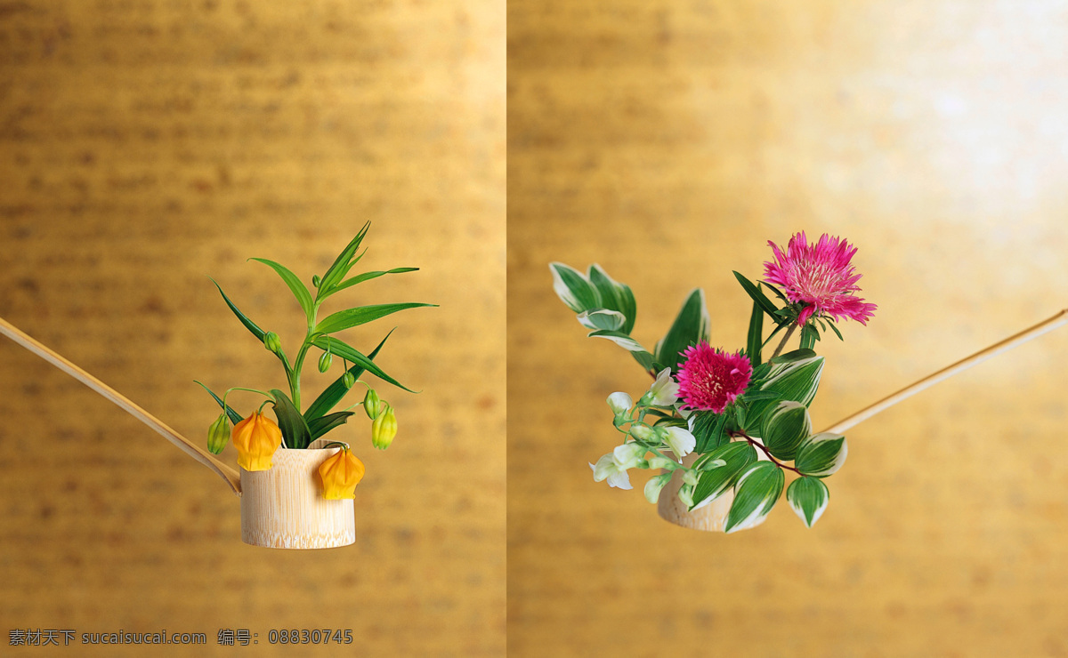 花盆 建筑园林 盆景 摄影图库 艺术插画 园林建筑 生命绿光 插画集