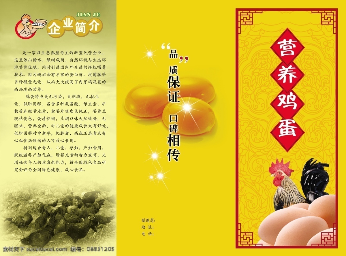 鸡蛋 折页 背景 蛋黄 公鸡 广告设计模板 画册设计 源文件 鸡蛋折页 其他画册封面