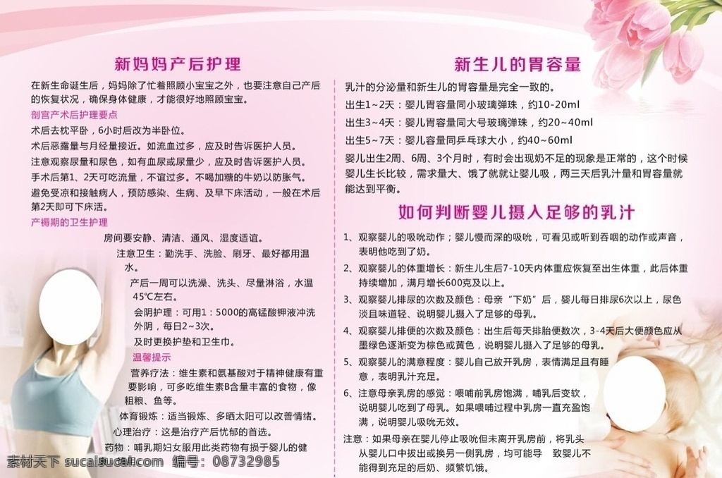 产后护理 新生儿 胃容量 乳汁 产后健康 宣传栏
