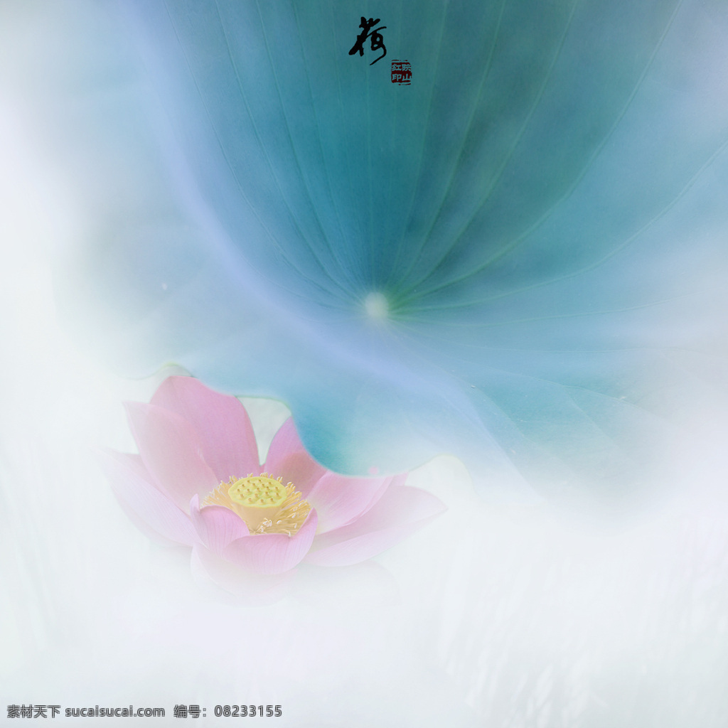 朦胧 荷花 高清 清雅 花 梦幻 古逸