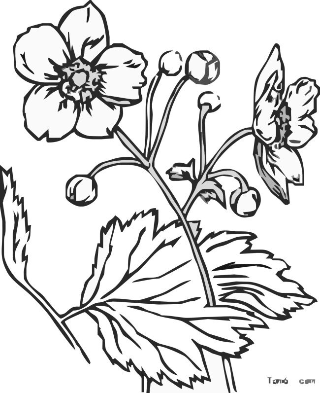 欧式 金边 花纹 花纹剪影 金边花纹 金属花边 欧式金边花纹 矢量图 花纹花边