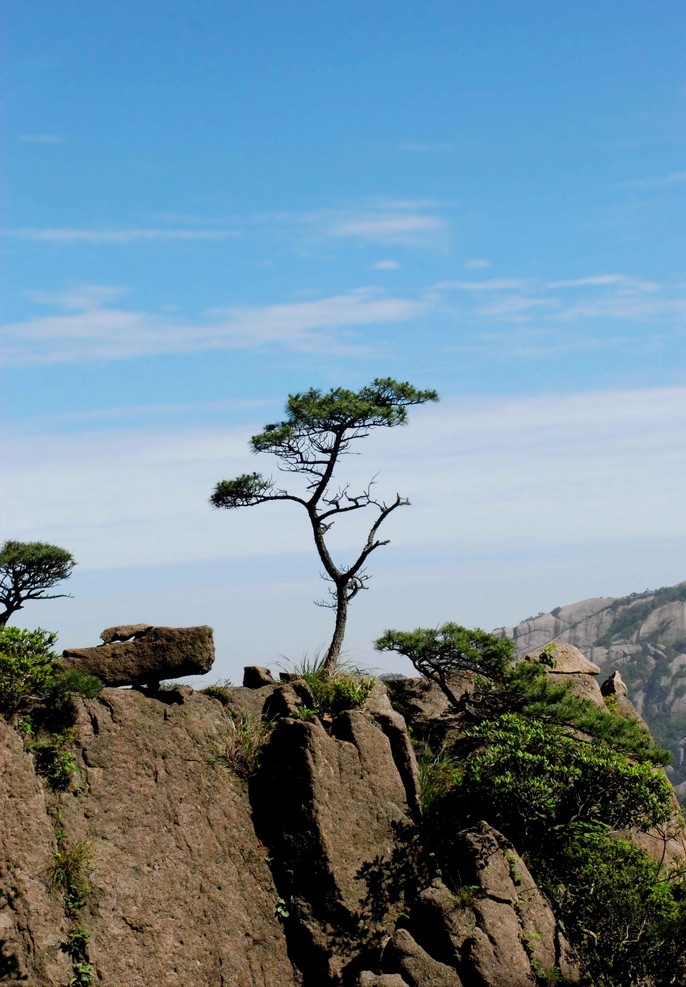 黄山风光 安徽 黄山 松树 迎客松 高山 山峰 山川 森林 森林公园 生态 自然 蓝天白云 安徽黄山 自然风景 旅游摄影