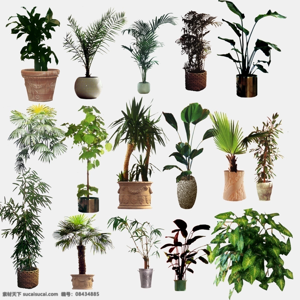 植物盆景 室内 植物 盆景 分层 源文件