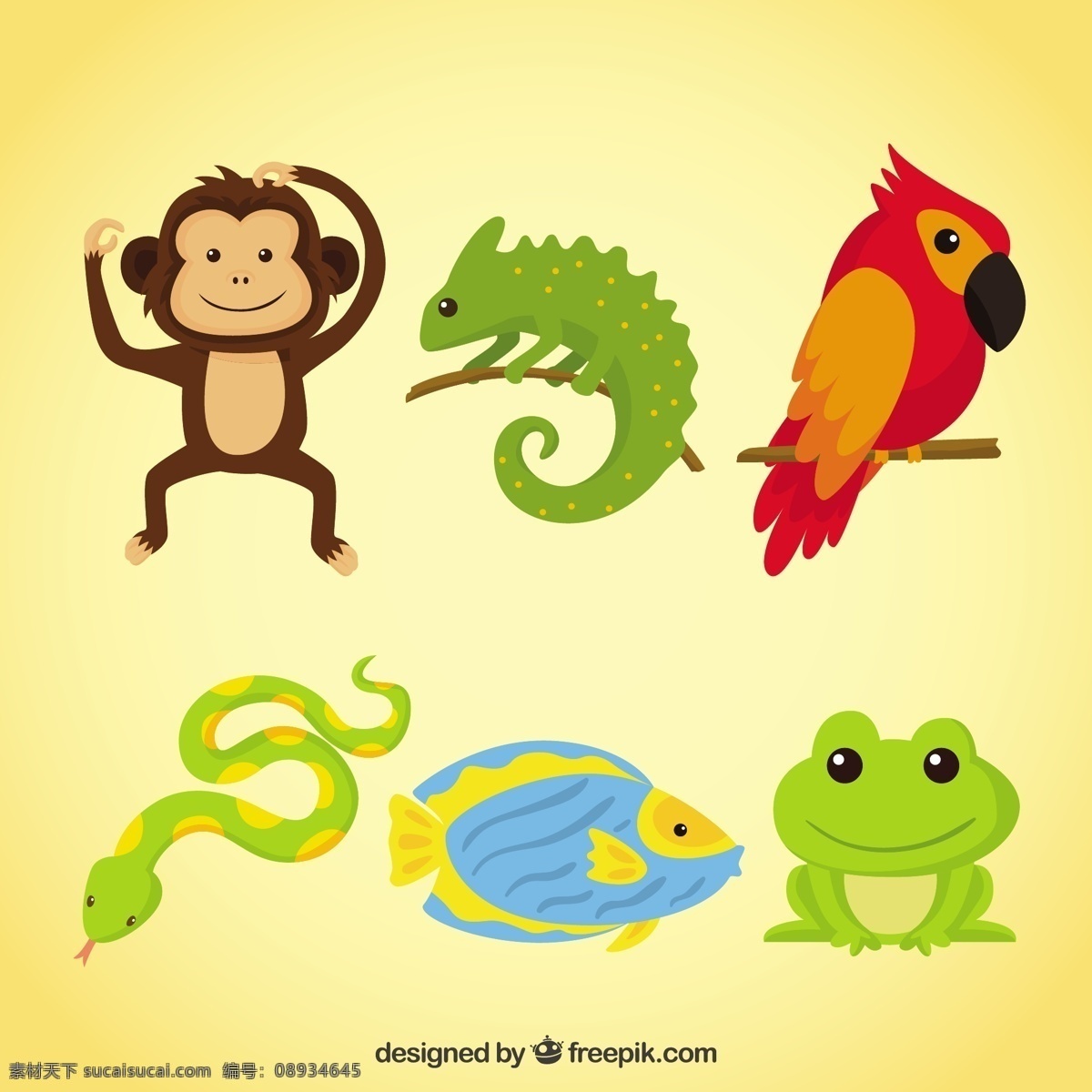 有趣 动物 爬行动物 鱼 自然 猴子 热带 蛇 青蛙 鹦鹉 野生动物 热带动物 黄色