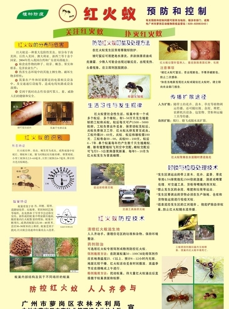 红火 蚁 预防 控制 技术 红火蚁 红火蚁的危害 草丛 蚂蚁 工作人员 防范 处理 方法 绿色底图 宣传海报 矢量