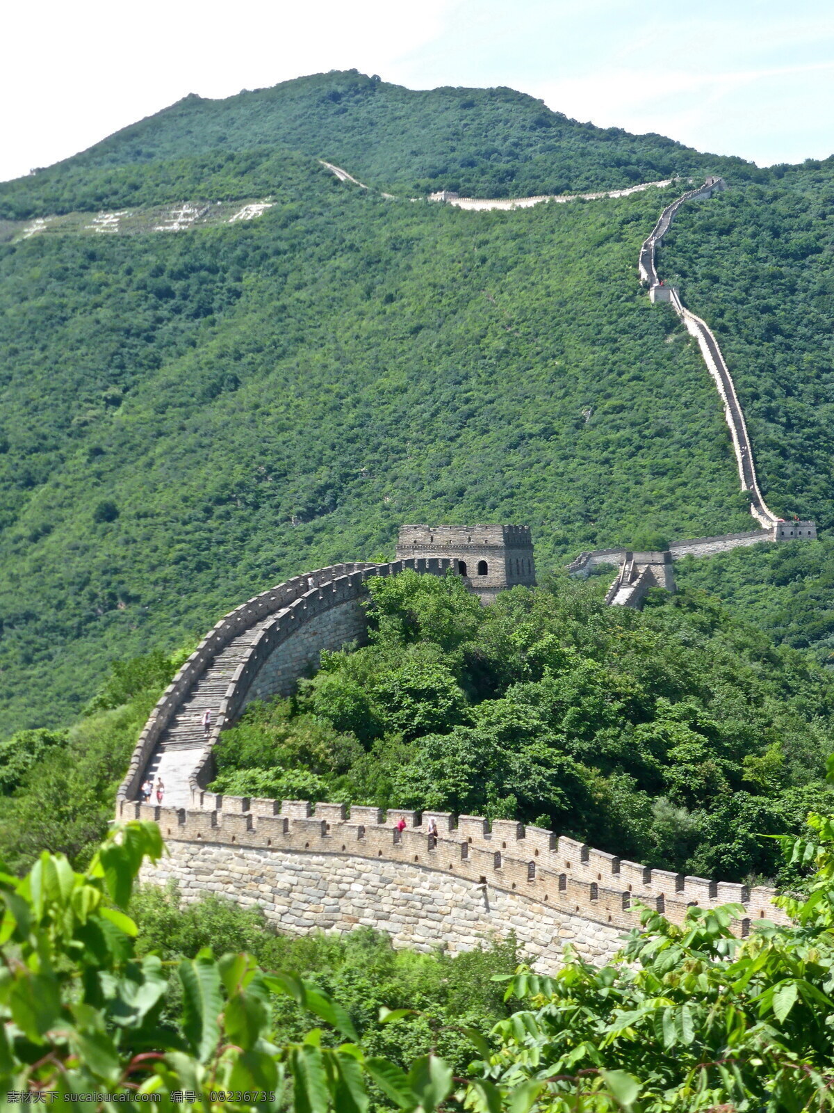 美丽 万里长城 风景 高清 绿色长城 绿色 树木 绿树 长城
