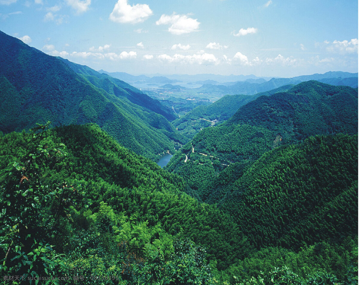 宁波市 公益林 国内旅游 旅游摄影 山 摄影图库 树林 宁波市公益林 展板 公益展板设计