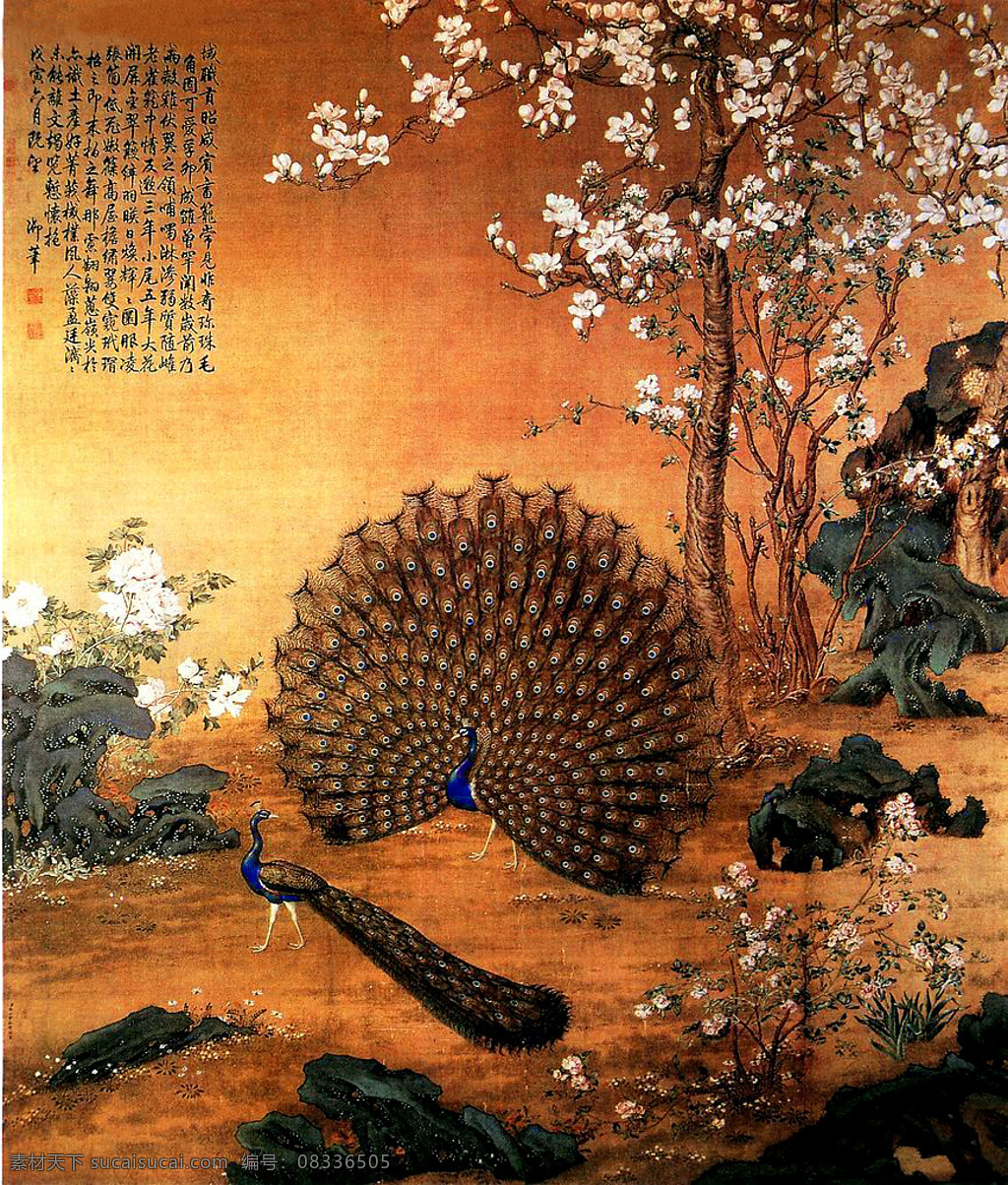 国画孔雀开屏 工笔画 绘画书法 文化艺术