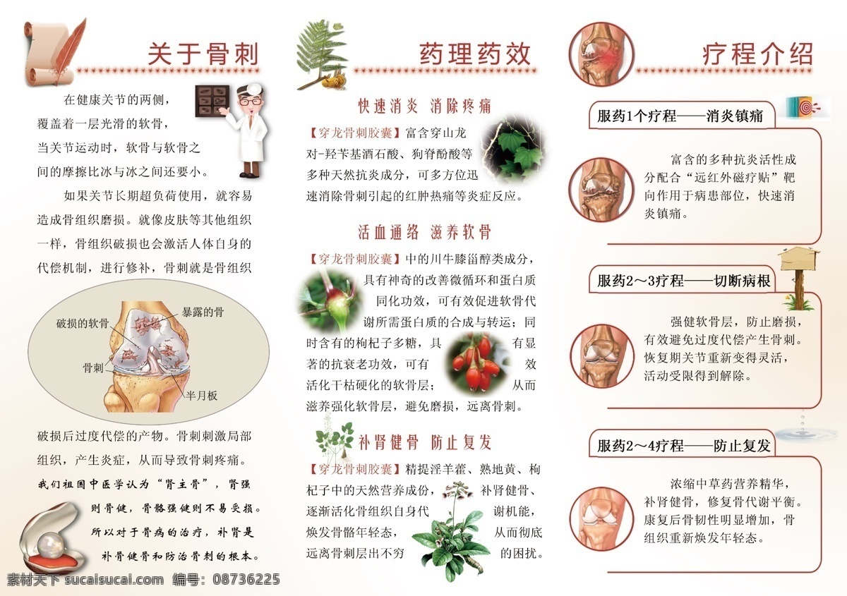 分层 版面 彩页 广告 活动 内部 平面 骨病 药品 宣传 折页 模板下载 药 三折页 骨刺 源文件 矢量图 日常生活