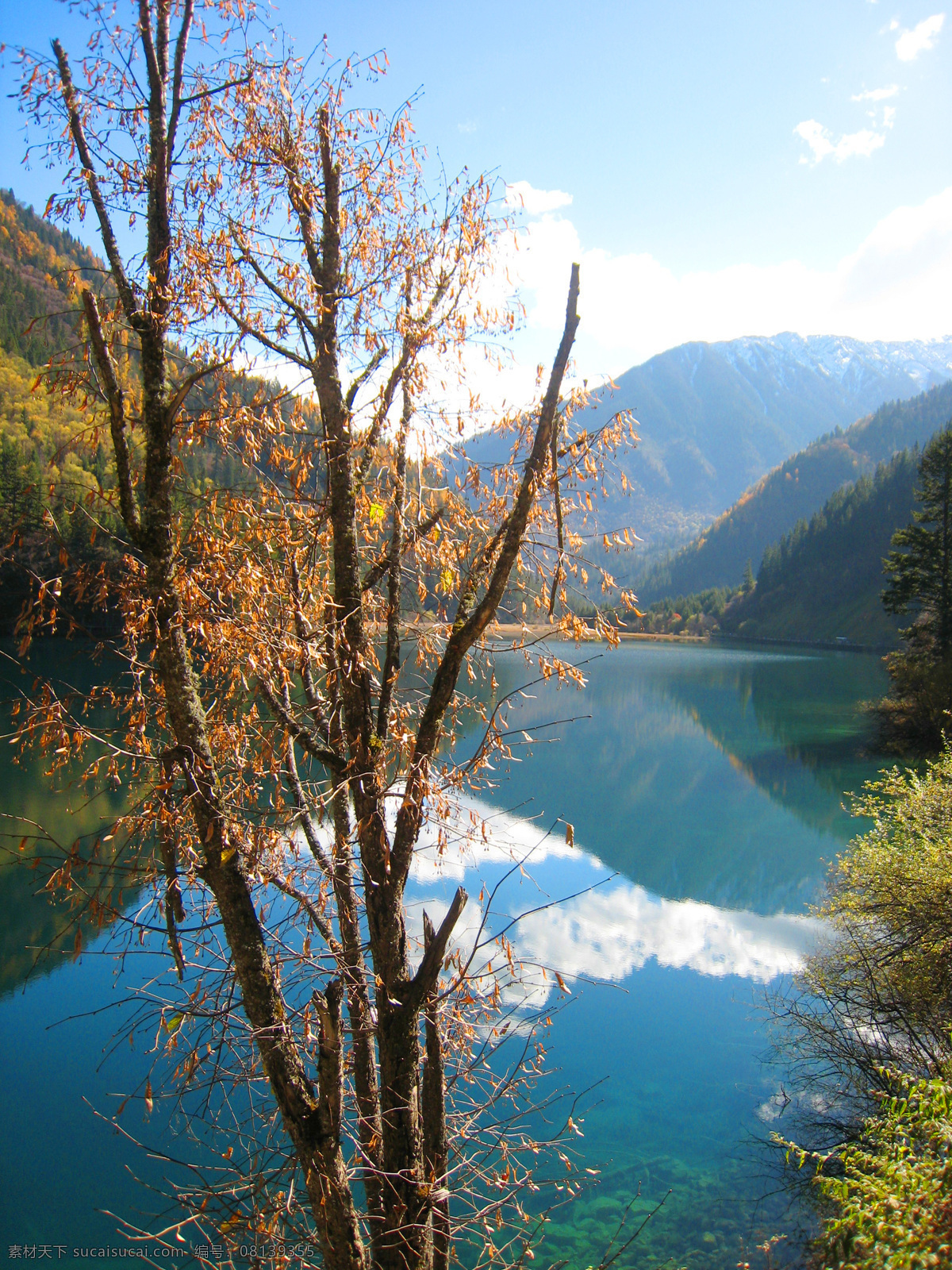 九寨沟风光 九寨沟 湖水 秋天 金秋 青山绿水 大树 树林 山林 森林 森林公园 四川 生态公园 蓝天白云 生态 自然 山水风景 自然景观