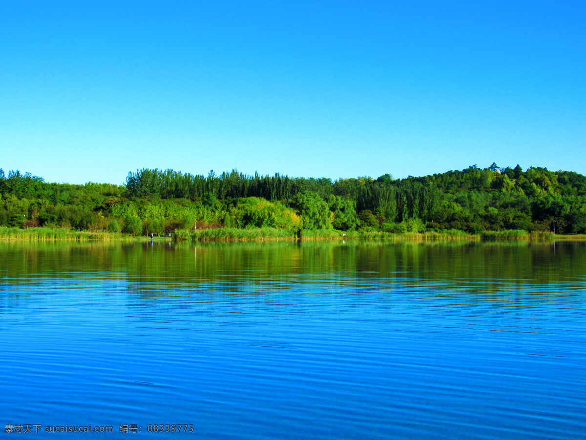 湖光山色 湖光 山色 自然美景 蓝天 湖水 蓝色湖水 自然风光 自然景观 自然风景 北京森林公园