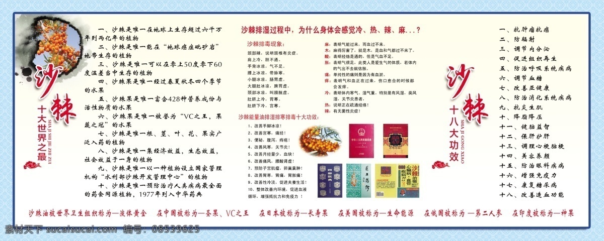 沙棘全身排毒 沙棘养生 沙棘排湿 寒湿 美容院挂画 美容院海报 疗效 排毒 风湿 背景 绿色背景 养生 沙棘排毒 沙棘海报 沙棘果 沙棘展板 沙棘挂画 沙棘排毒禁忌 沙棘排毒现象 养生海报