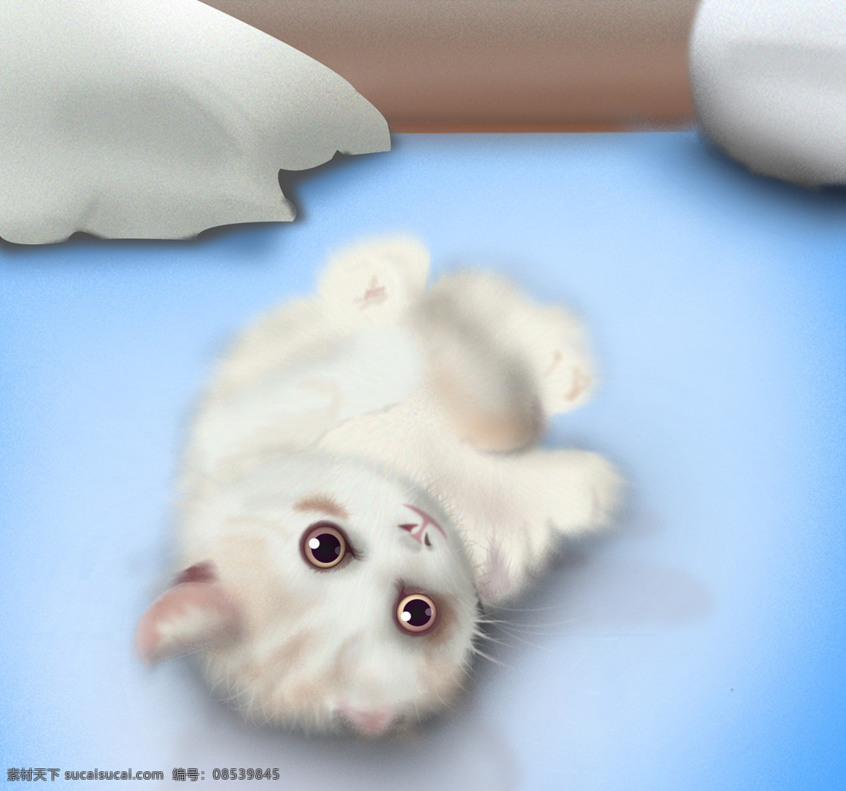 奶猫 可爱猫 猫插画 卡通猫咪 猫咪卡通 奶喵 喵 可爱喵 插画猫咪 可爱猫咪 猫咪 动漫动画