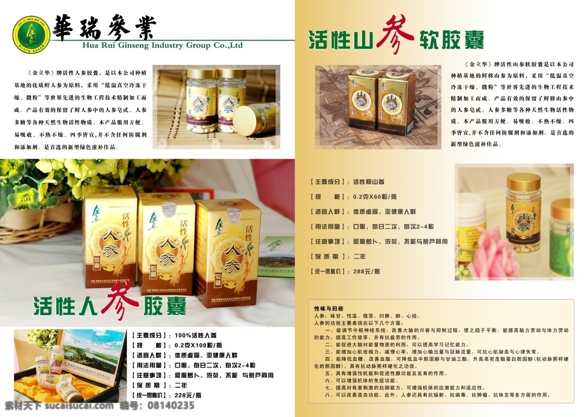 企业 画册 产品手册 广告设计模板 画册设计 企业画册 源文件库 活性人参 人参系列 其他画册封面