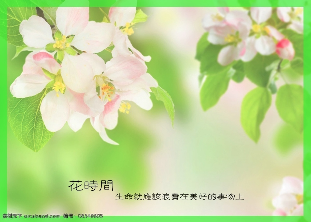 花贺卡祝福语 贺卡封面 花边 花边花框 花边设计 花边素材 花边图片 浪漫 鲜花 装饰 框 设计素材 设计元素 唯美 植物 植物素材 原创设计 原创名片卡