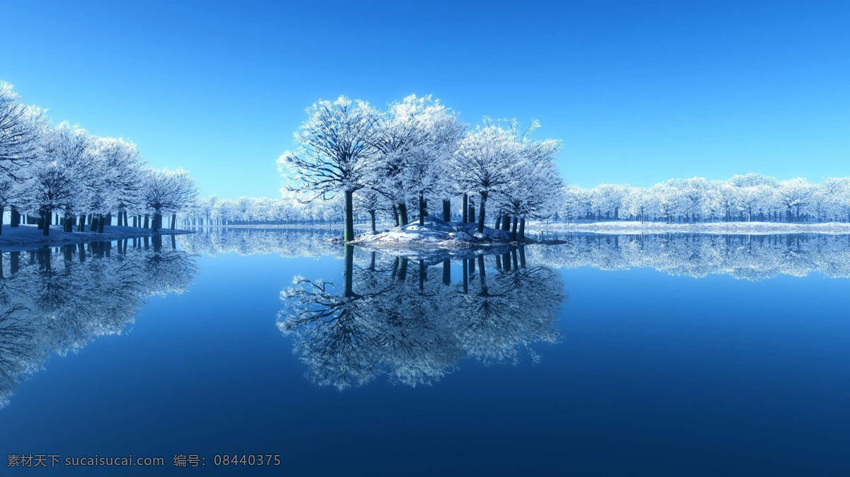 唯美 冬季 树林 风景图片 树木 湖泊 湖面