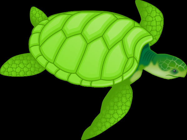 绿 海龟 剪辑 艺术 龟 托尔 玛丽娜 矢量图 其他矢量图