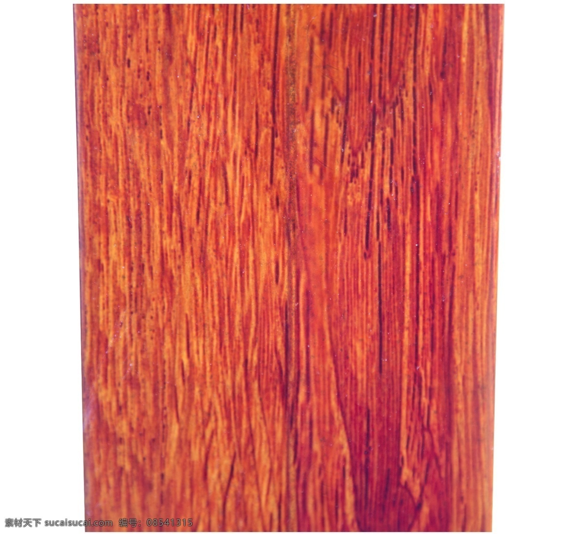 实木 木材 木板 纹理 纹路 木头 木纹 材质 黄色木纹 平坦的 材料 横截 木粗糙的纹理 自然
