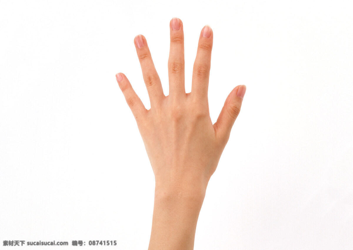 手势 手型 人手 手部特写 手势喻意 人物 人物摄影 人物图库