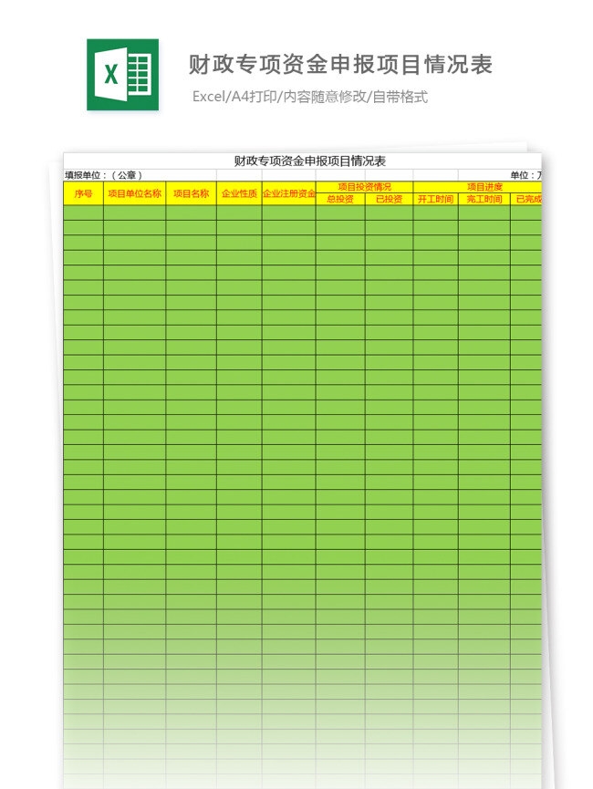 财政 专项 资金 申报 项目 情况表 excel 模板 表格模板 图表 表格设计 表格 报表 财务 工资表 薪酬 财务报表 人力资源 福利 工资 工资条 人事报表 行业表格 办公常用