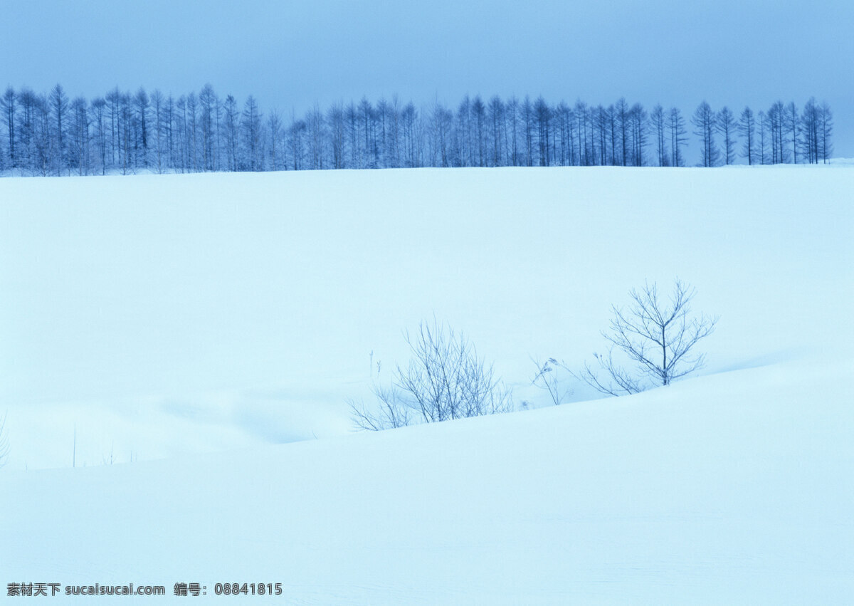 降雪 雪花 白 树 雪原 在雪地里 冬季下雪 冬天 雪山谷 山 冬季 景观 北方 雪景 雪山 自然景观 风景名胜