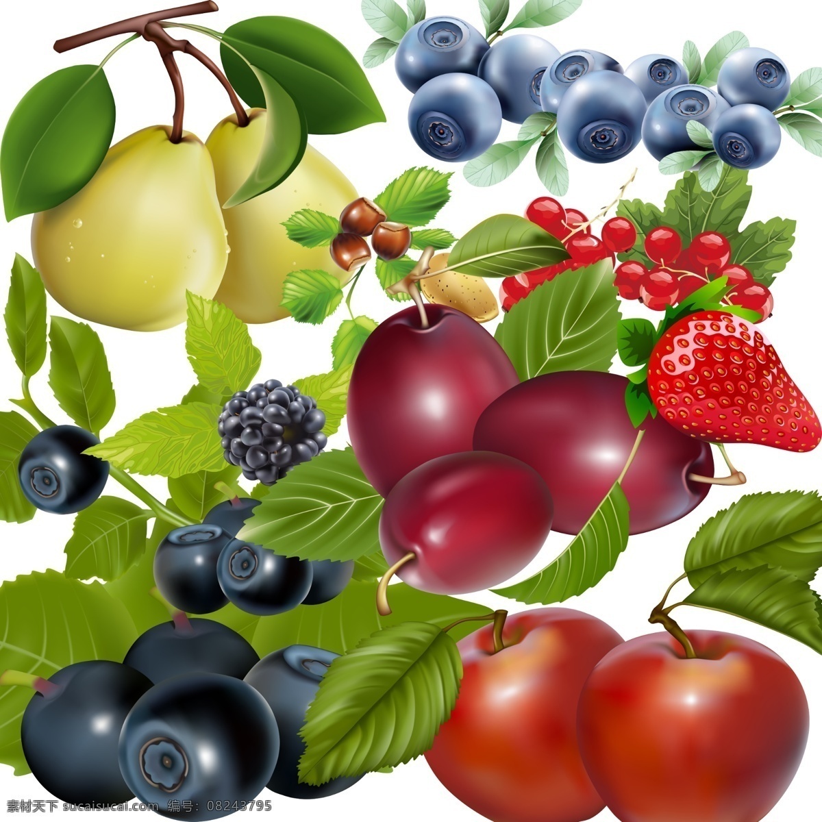 水果 集 分层 草莓 卡通 蓝莓 梨 李子 源文件 模板下载 水果集 树莓 psd源文件 餐饮素材
