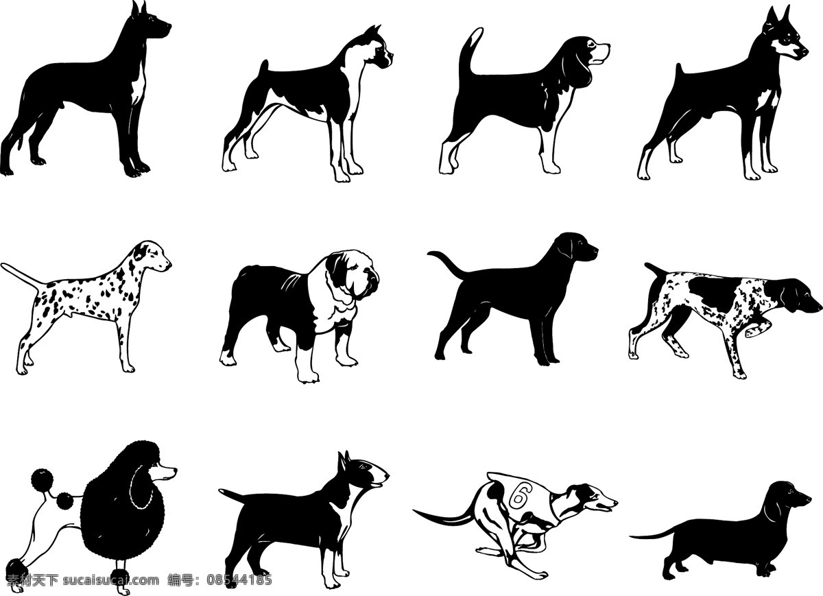 短毛犬 名犬 犬类 狗 小狗 动物 宠物 剪影 大丹 杜宾 洛威拿犬 大麦町 牛头更 沙皮狗 短毛吉娃娃 迷你品 曼彻斯特梗 迷你猎狐梗 短毛腊肠 拉布拉多 卡通 平面素材