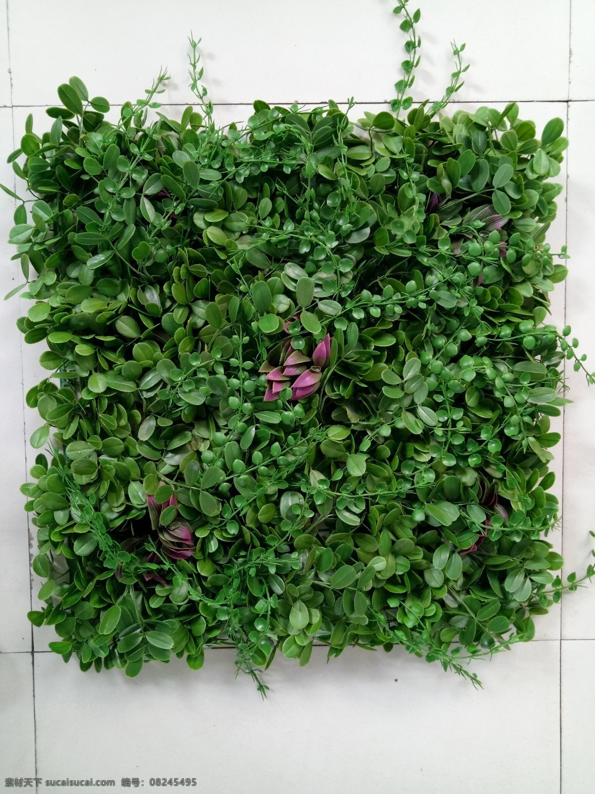 绿植墙 植被墙 绿叶墙 绿植墙素材 植物墙素材 植物墙背景 园林绿化 立体绿化 立体花坛 草坪
