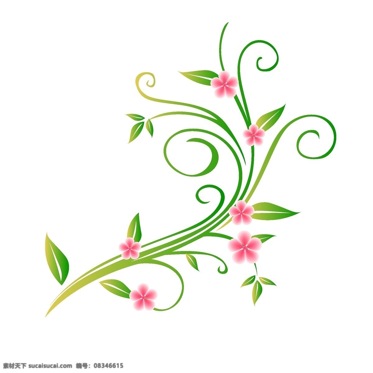 立体 植物 花 藤 插图 粉色花瓣 植物花藤 简约的花藤 立体花藤 绿色叶子 缠绕的花藤 小清新插图