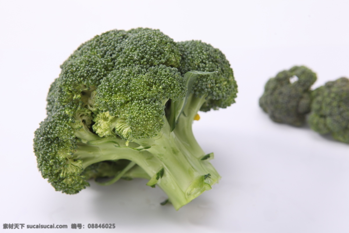 西兰花 绿花菜 绿菜花 青花菜 绿花椰 美国花菜 蔬菜 生物世界