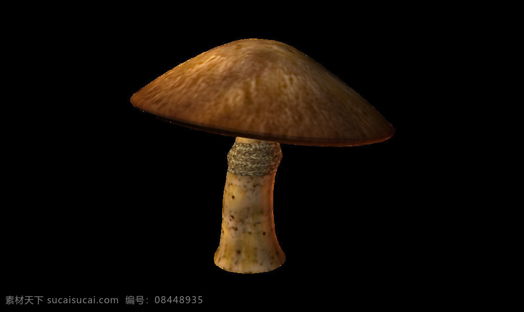 蘑菇 实景 元素 png元素 免抠元素 食材 透明元素