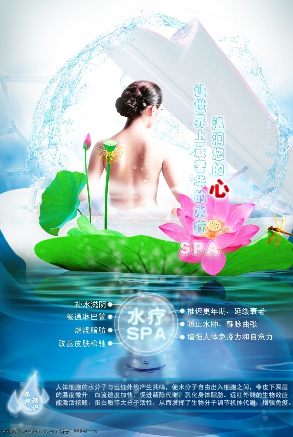 spa 广告设计模板 荷花 美容 美容美体 美体 模板下载 源文件 psd源文件