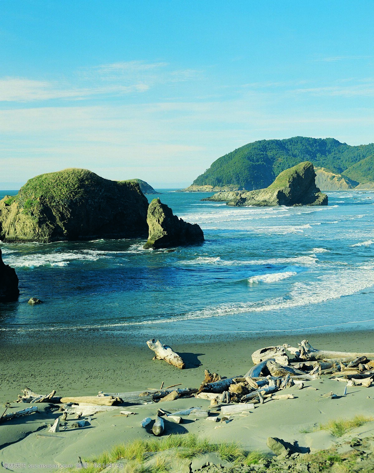 树免费下载 风景 山水风景 摄影图 树 植物 自然景观 水 家居装饰素材 山水风景画