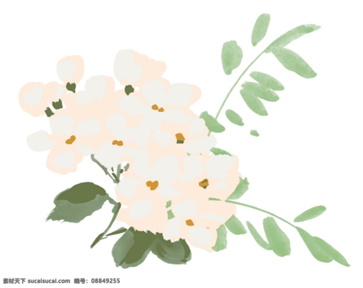 绿叶 花 花朵 白色