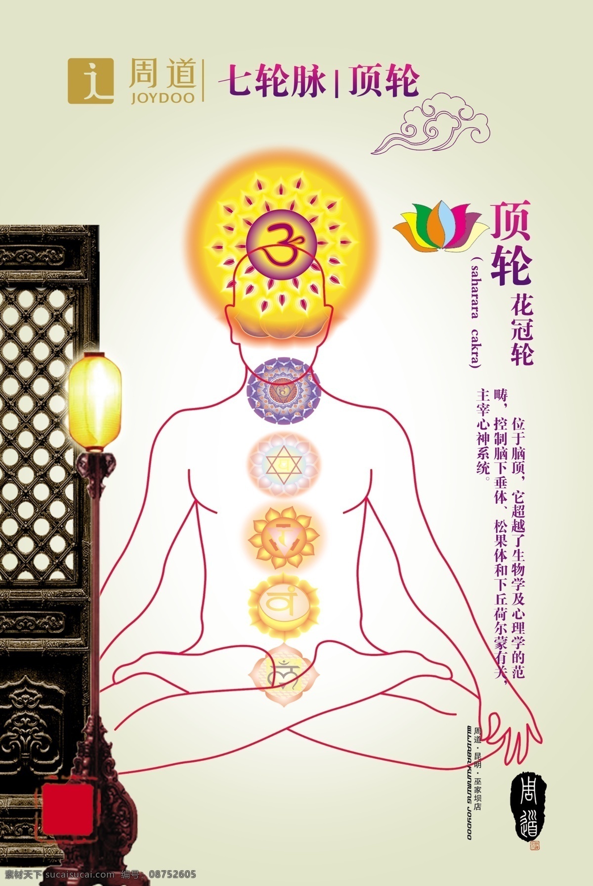 七轮脉 顶轮 顶上三花 筋络 筋脉 白色