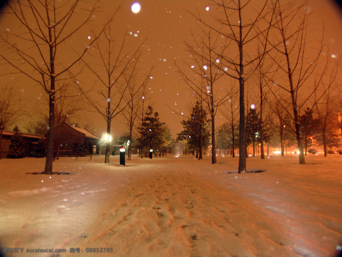 雪 中 风景图片 白色 白雪皑皑 风景 剪影 景色 景物 生物世界 树干 树木 树木树叶 雪中风景 下雪 雪花 松树 psd源文件