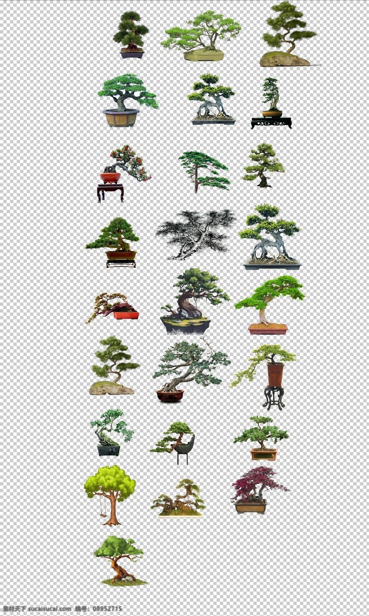 松树 盆栽 小 盆景 迎客松 小松树 盆景迎客松 免抠 绿色 小清新 分层