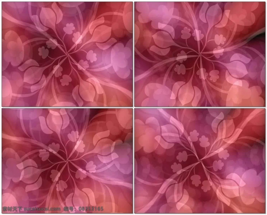 花 背景 视频 红色 花朵 形状 高清视频素材 视频素材 动态视频素材