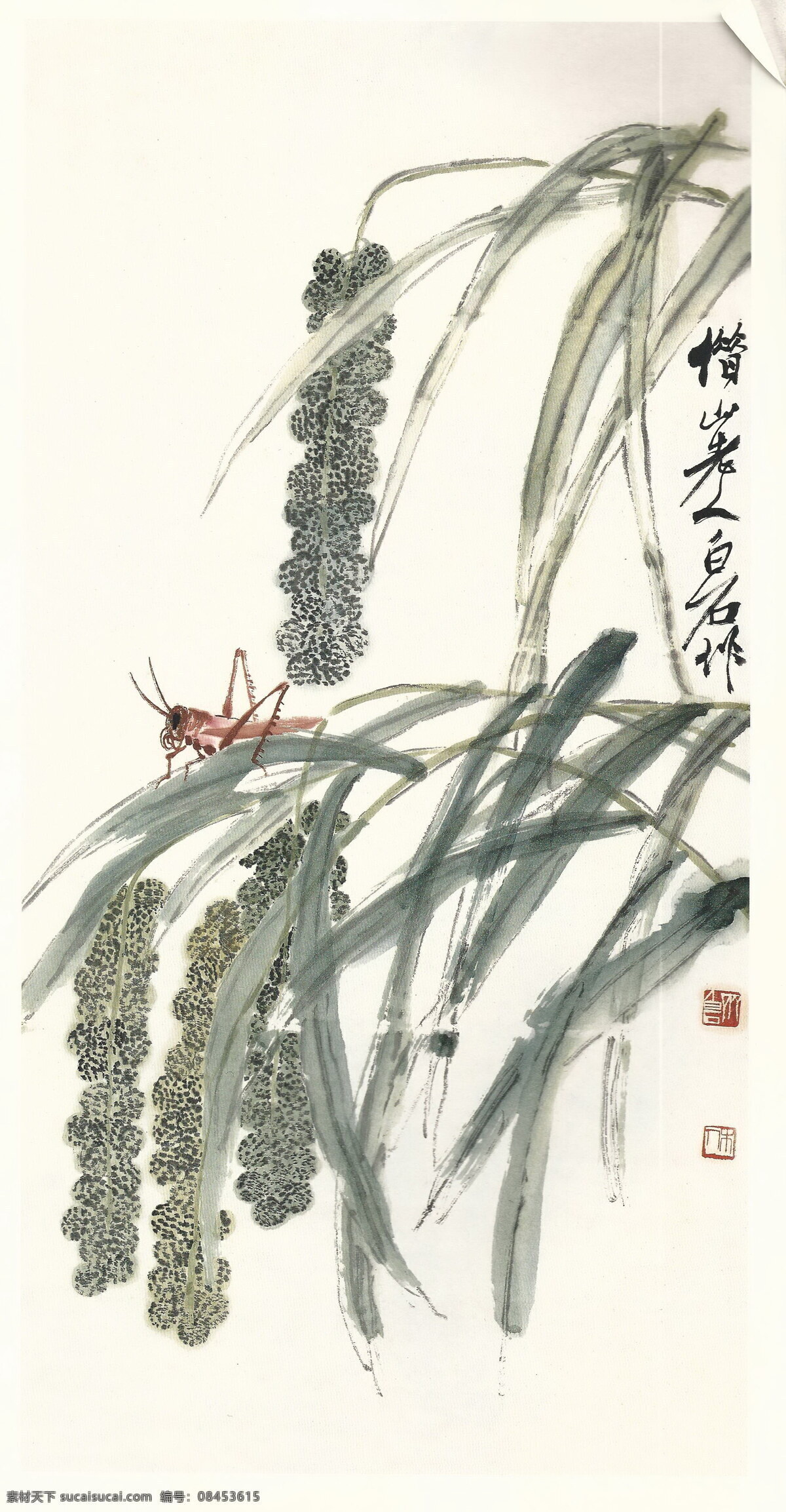 齐白石 书法 绘画 艺术 谷穗 蝗虫 静物 文化艺术 绘画书法