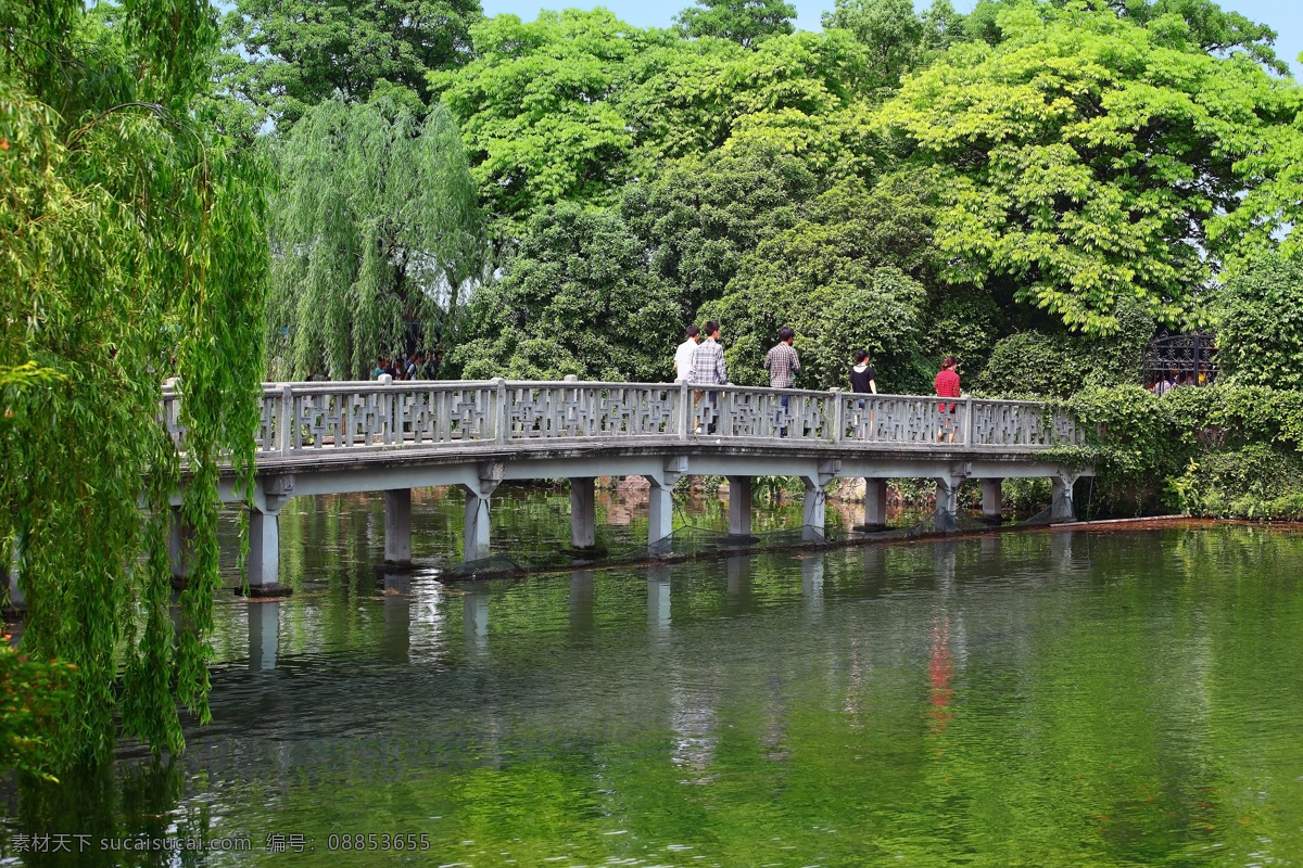 春季 风景 公园 杭州 建筑 建筑园林 景点 旅行 石桥 长桥 西湖 旅游 花港观鱼 夏季 自然 中式建筑 旅游热点 园林 园林建筑 psd源文件